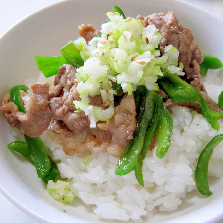 簡単✨ねぎたっぷり✨牛肉とピーマンの味噌炒め丼